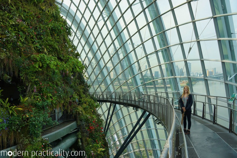 At the Cloud Forest, Gardens by the Bay