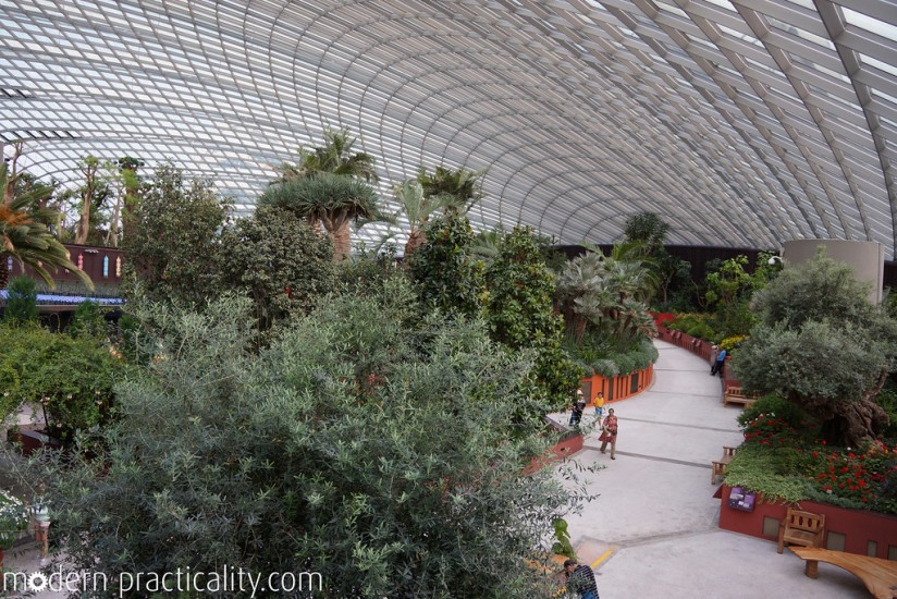 At the Flower Dome, Gardens by the Bay
