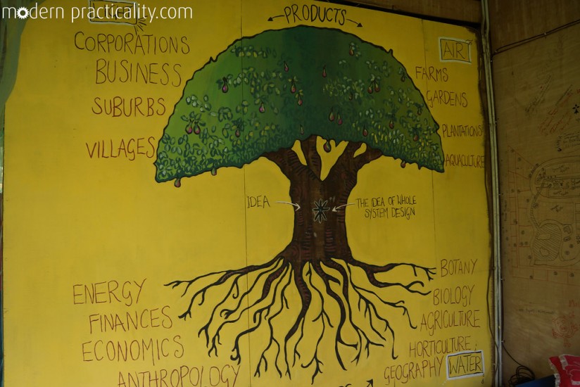A incredible mural of the permaculture tree, completed by our English roommates in a matter of 3 days!