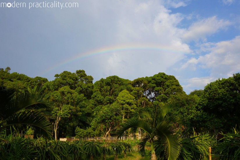A beautiful rainbow on the farm.